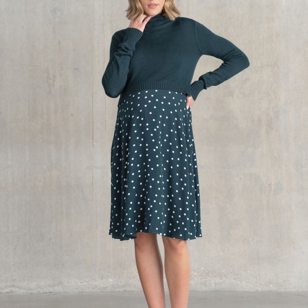 Seraphine Navy Polka Dot Nursing and Maternity Dress